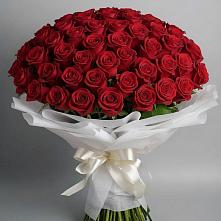 Букет 101 Красная роза Блэк Мэджик #REPLACE_PRED# Красногородске