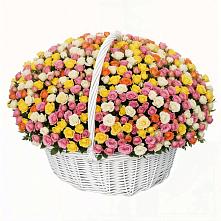 Премиум букет из: Розы в Красногородске