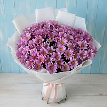 Букет цветов из:  Хризантемы #REPLACE_PRED# Красногородске