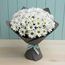 Букет цветов из:  Хризантемы #REPLACE_PRED# Красногородске