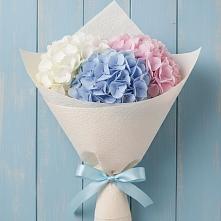Букет цветов из:  Гортензия в Красногородске