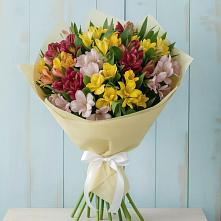 Букет цветов из:  Альстромерии в Красногородске