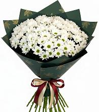 Букет цветов из:  Хризантемы в Красногородске