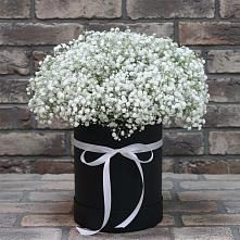 Цветочная композиция из Гипсофила в шляпной коробке в Красногородске