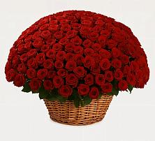 Премиум букет из: Розы #REPLACE_PRED# Красногородске