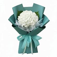 Букет цветов из:  Гортензия в Красногородске